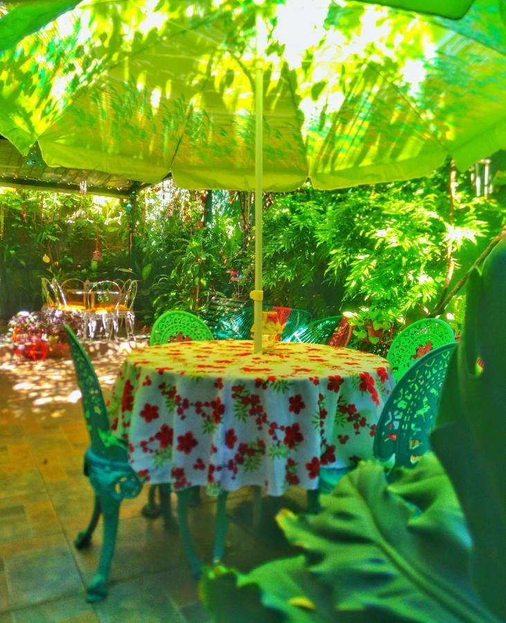 Hotel Oasis San Salvador Zewnętrze zdjęcie